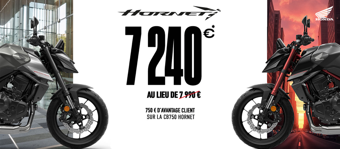 Hornet