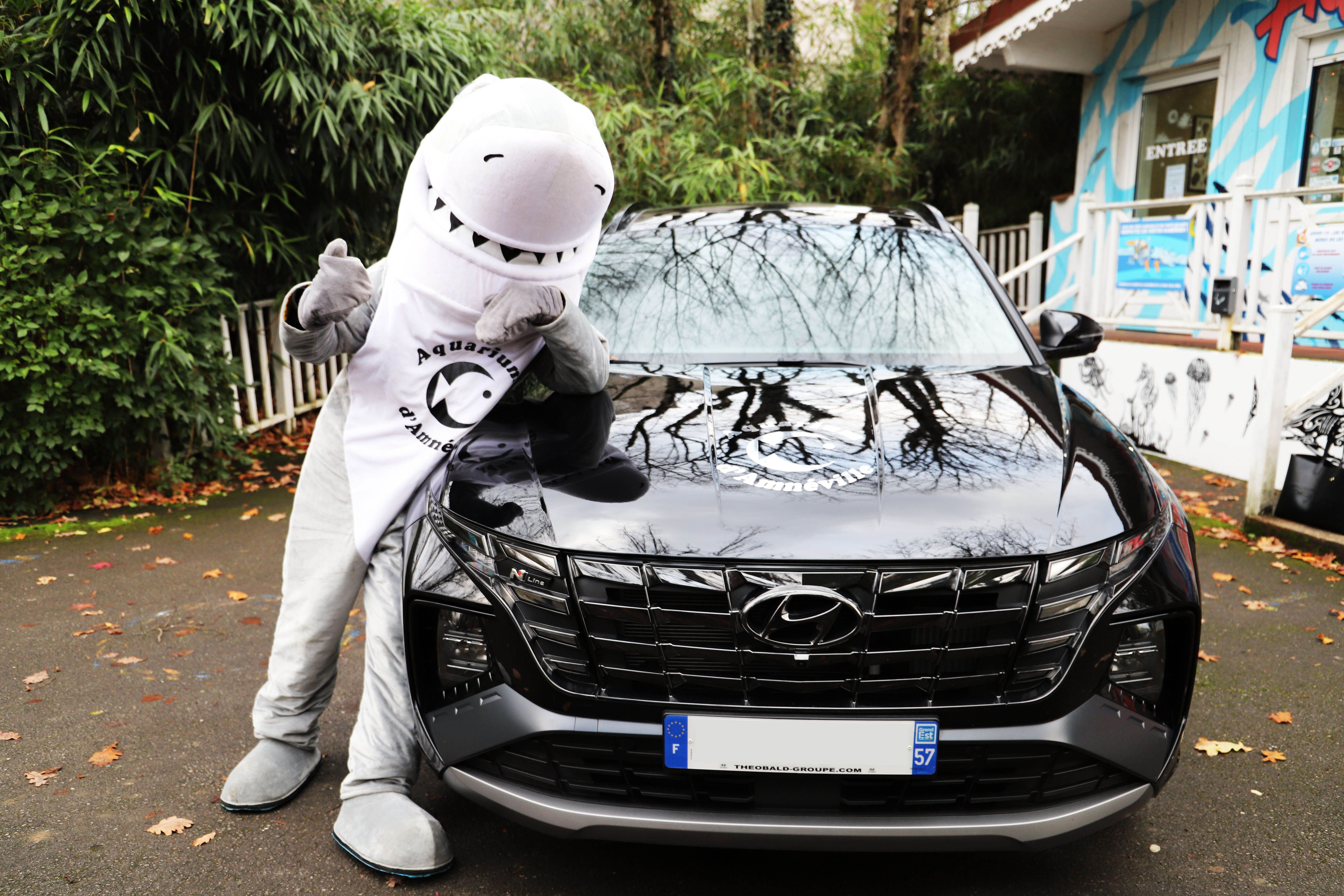 Hyundai Théobald partenaire de l'Aquarium d'Amnéville